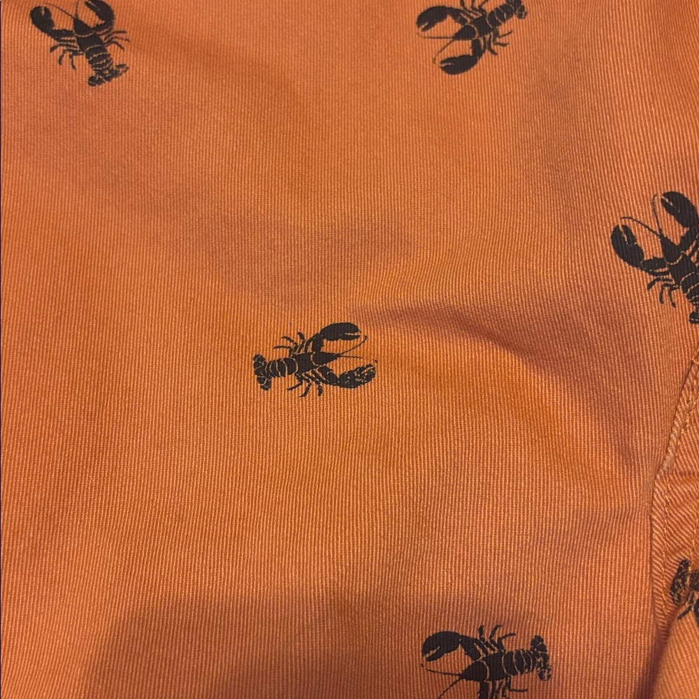 Izod Coral Lobster Shorts Size 34 - Picture 4 of 4